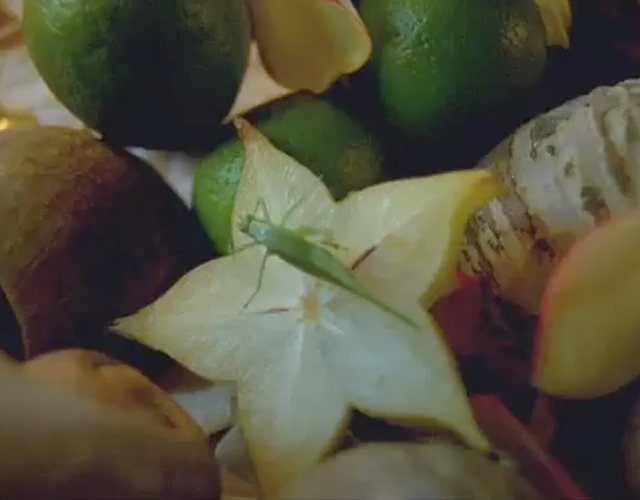 Calle 13 — Un beso de desayuno